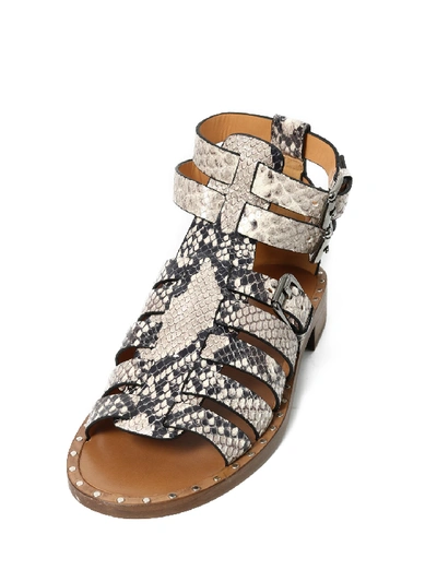 Shop Church's Python Leather Sandal In Beige