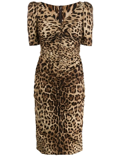 Shop Dolce & Gabbana Midi Dress Leo In Brown