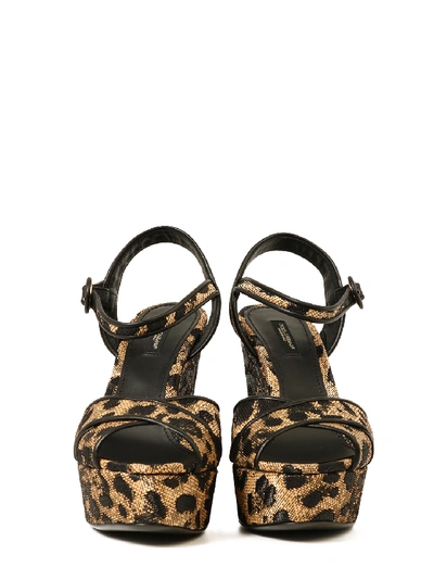Shop Dolce & Gabbana Leo Printed Raffia Wedge Sandal In Gold