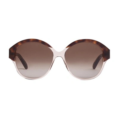 Shop Celine Sunglasses Maillons Triomphe 01 In Light_havana_transparent