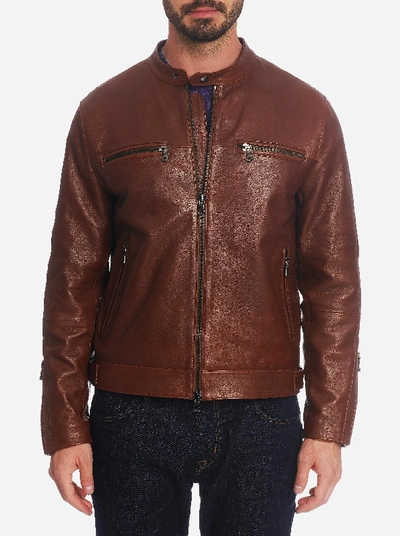 Shop Robert Graham Roscoe Leather Jacket In Brown
