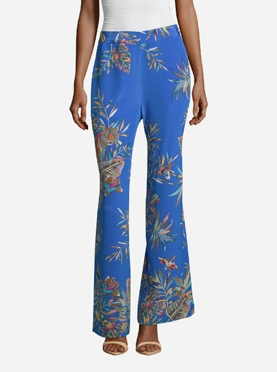 Shop Robert Graham Tamara Jungle Tiger Printed Pants In Multi