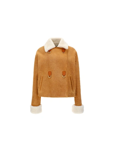 Shop Loewe Jacket In Light Brown