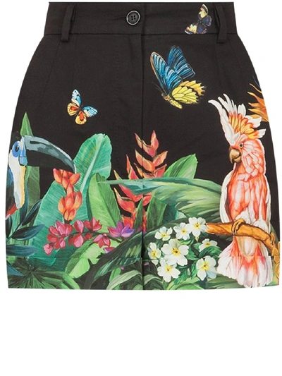 Shop Dolce & Gabbana Shorts Tropical Jungle In Printed