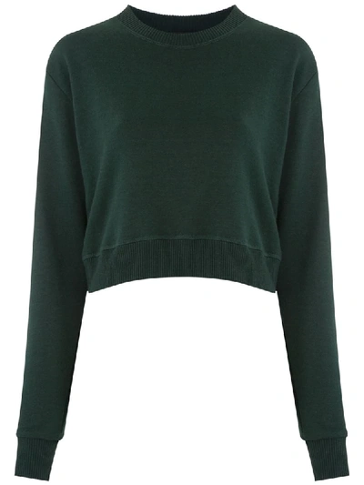 Shop Andrea Bogosian Rayane Sweatshirt In Green