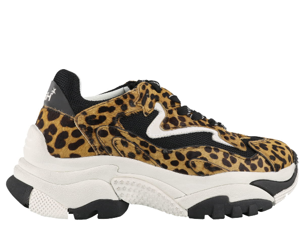 ash sneakers addict leopard