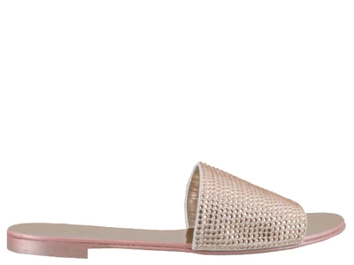 Shop Giuseppe Zanotti Adelia Flats In Pink