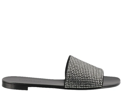 Shop Giuseppe Zanotti Adelia Flat Sandals In Black