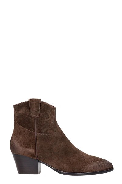 Shop Ash Houston 06 Texan Ankle Boots In Brown Suede