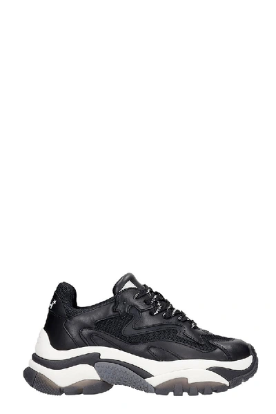 Shop Ash Addict 04 Sneakers In Black Leather