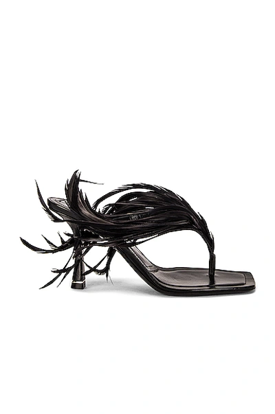 Shop Alexander Wang Ivy 85 Feather Sandal In Black