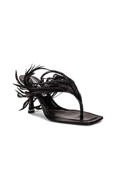 Shop Alexander Wang Ivy 85 Feather Sandal In Black