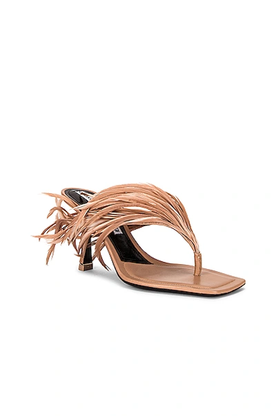 Shop Alexander Wang Ivy 85 Feather Sandal In Sandstone