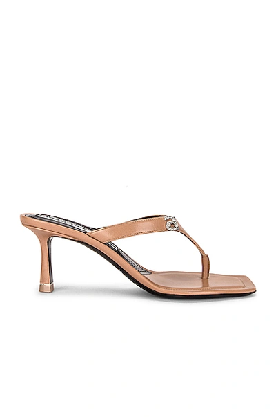 Shop Alexander Wang Ivy 85 Logo Thong Sandal In Sandstone