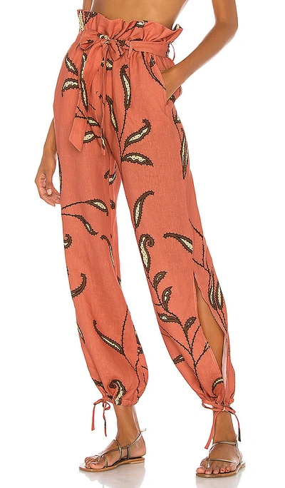 Shop Johanna Ortiz Punch Destiny Of Joy Pants In Summer Punch