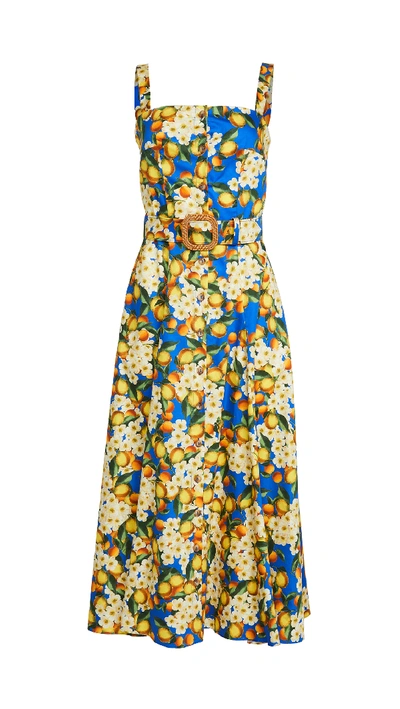 Shop Borgo De Nor Camilla Button Up Dress In Lemonade Blue