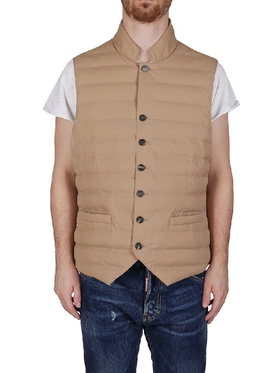Shop Brunello Cucinelli Buttoned Padded Vest In Brown