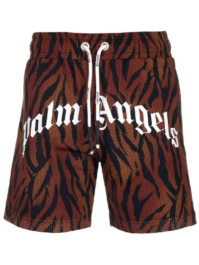 Shop Palm Angels Tiger Print Shorts In Multi