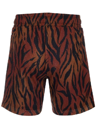 Shop Palm Angels Tiger Print Shorts In Multi