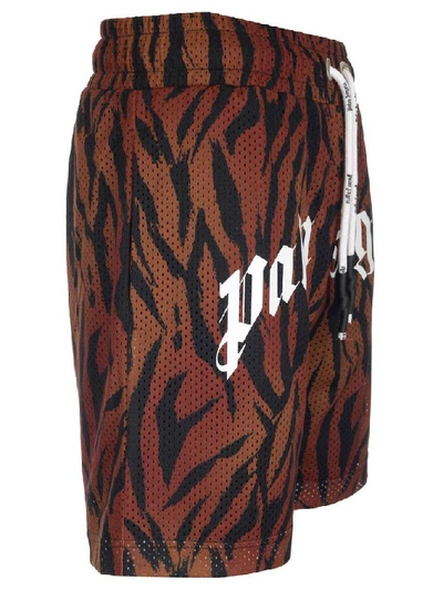 Shop Palm Angels Tiger Print Shorts In Multi