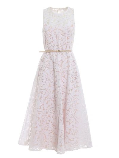 Shop Max Mara Sleeveless Lace Dress In White