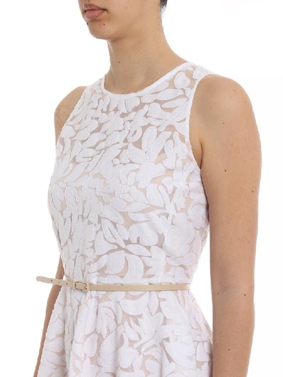 Shop Max Mara Sleeveless Lace Dress In White