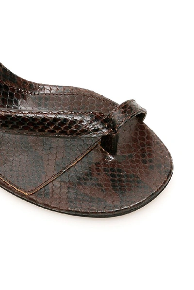 Shop Bottega Veneta Spiral Strap Sandals In Brown