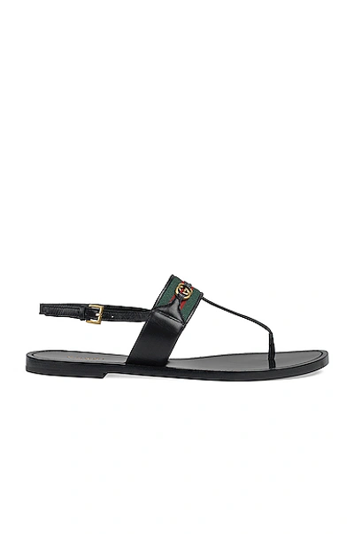 Shop Gucci Siryo Thong Sandals In Nero