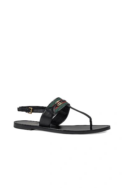 Shop Gucci Siryo Thong Sandals In Nero