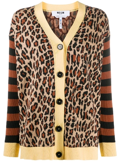 Shop Msgm Leopard Print Striped Cardigan In Brown