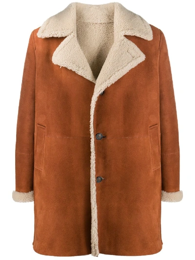 Shop Tagliatore Button-up Shearling Coat In Brown