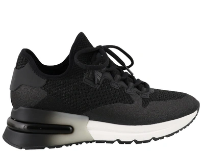 Shop Ash Krush Sneakers In Black