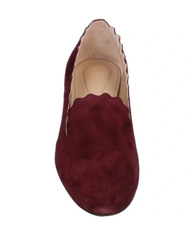 Shop Chloé Loafers In Maroon