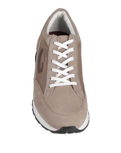 Shop Alberto Guardiani Sneakers In Khaki