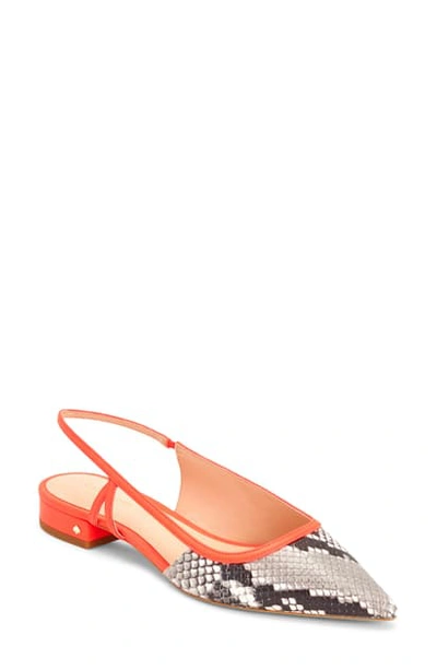 Shop Kate Spade Sunday Slingback Flat In Snake Print/ Coral Leather