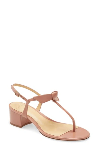 Shop Alexandre Birman Clarita Bow Slingback Sandal In Antique