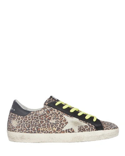 Shop Golden Goose Superstar Leopard Low-top Sneakers In Brown