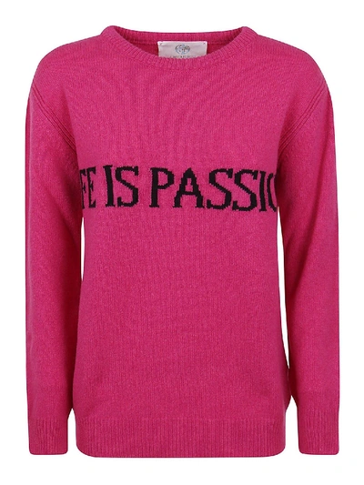 Shop Alberta Ferretti Life Is Passion Sweater In Fuchsia