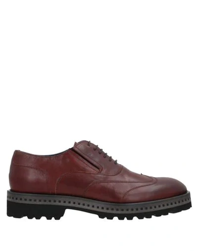 Shop Alberto Guardiani Laced Shoes In Brown