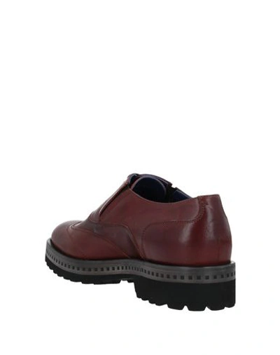 Shop Alberto Guardiani Laced Shoes In Brown