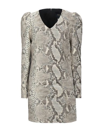 Shop Cavalli Class Woman Mini Dress Sand Size 4 Cotton, Viscose, Elastane, Virgin Wool, Polyester In Beige