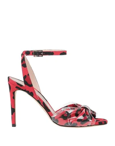 Shop Alberto Gozzi Sandals In Red