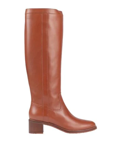 Shop Lerre Knee Boots In Brown