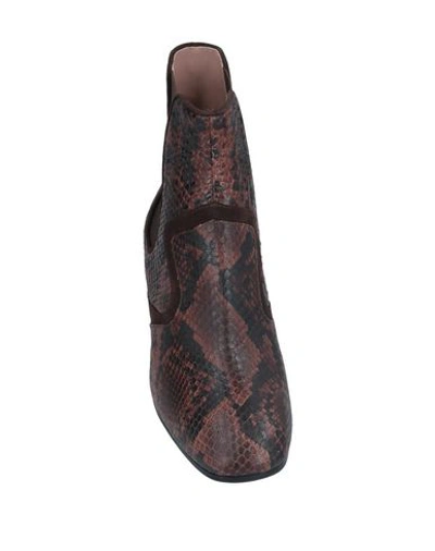 Shop Cheville Ankle Boots In Dark Brown