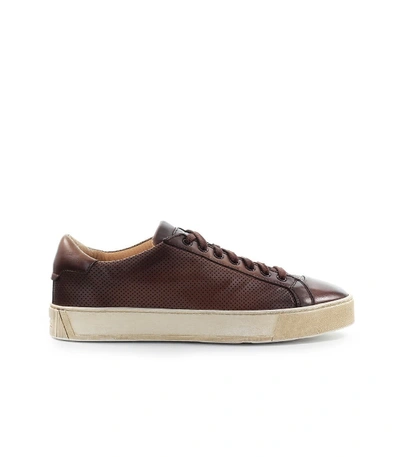 Shop Santoni Brown Leather Sneaker In Marrone