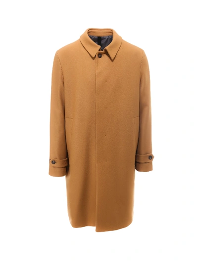 Hevo Concealed Button Down Coat In Brown