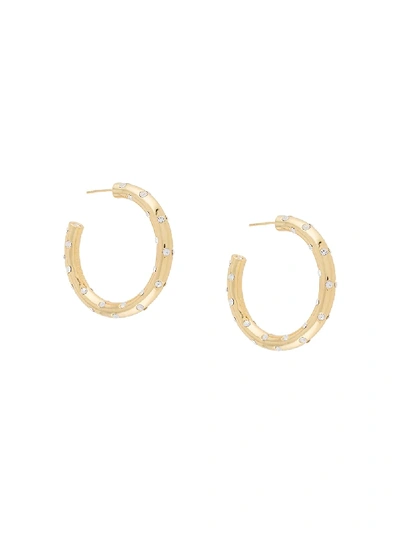 Shop Cult Gaia Roksana Hoop Earrings In Gold