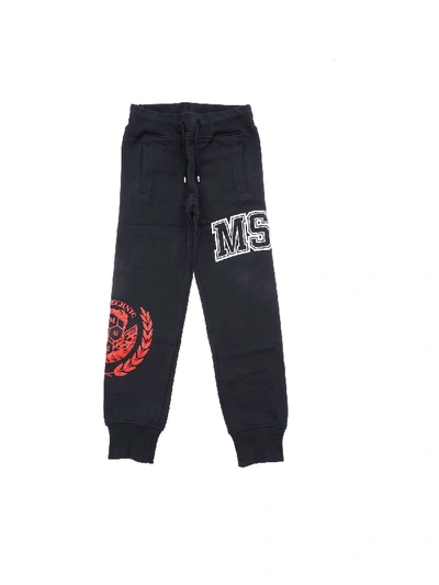 Msgm Logo Print Cotton Sweatpants In Blue