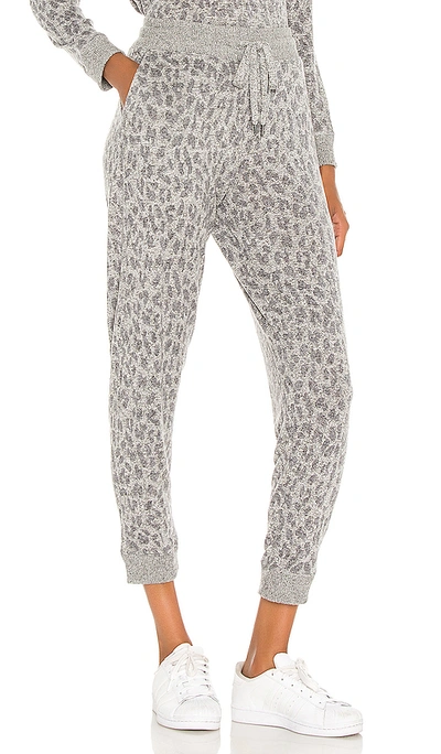 Shop Rails Devon Sweatpant In Melange Grey Leopard