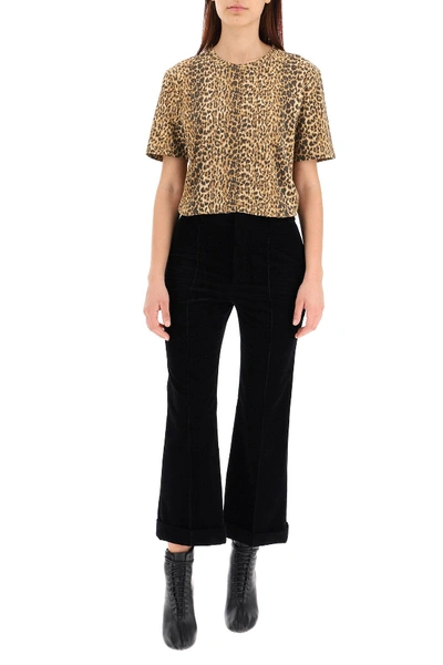 Shop Saint Laurent Leopard Print T-shirt In Brown,beige